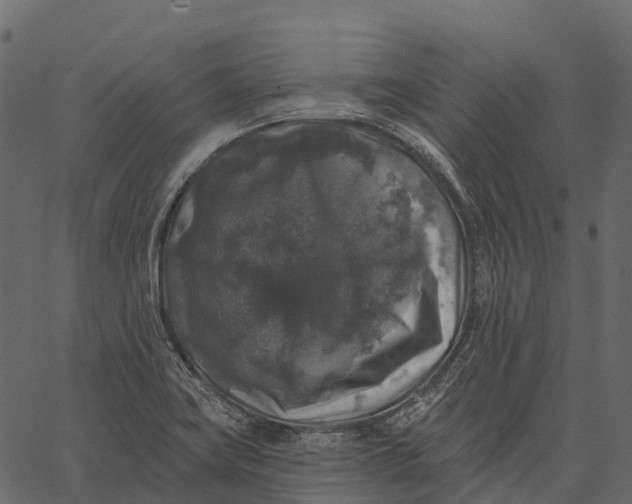 X0000062641419200601111114