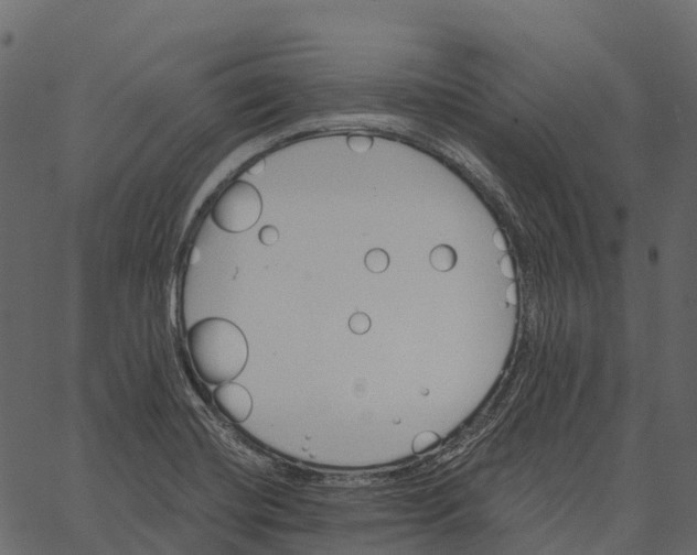 X0000062641420200601111114