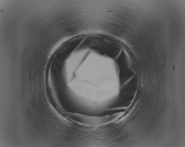 X0000062641422200601111114