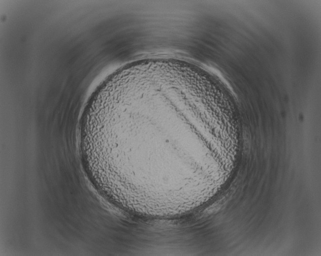 X0000062641424200601111114