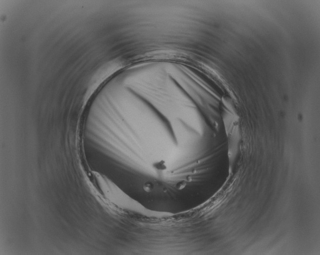 X0000062641426200601111114