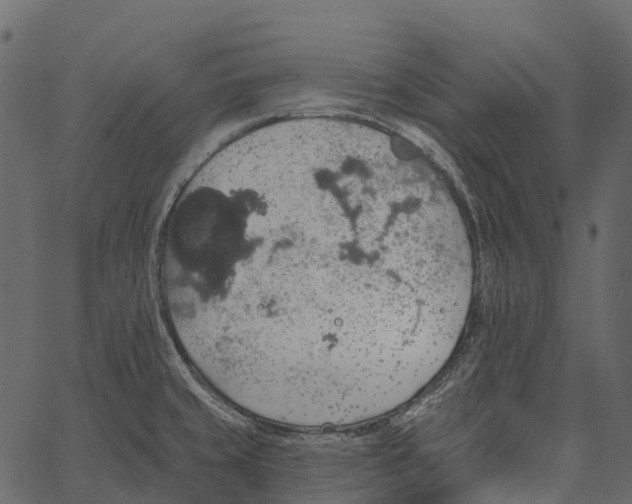 X0000062641429200601111114