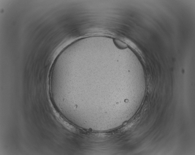 X0000062641431200601111114