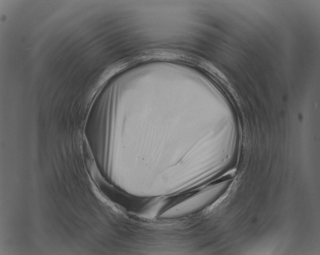 X0000062641433200601111114