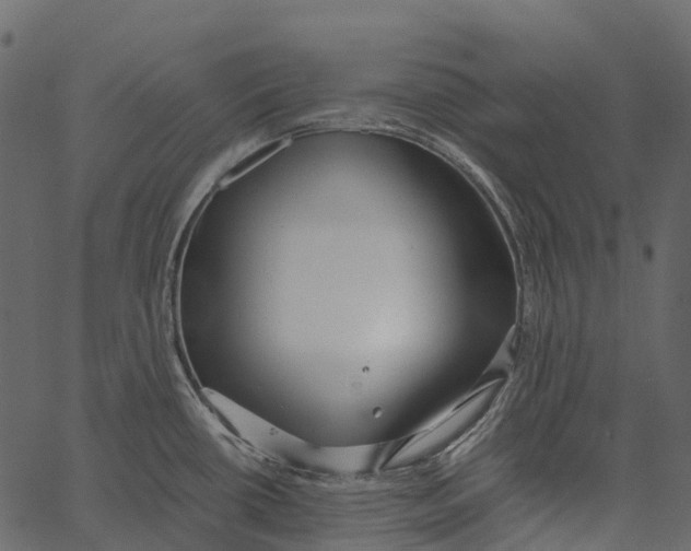 X0000062641434200601111114