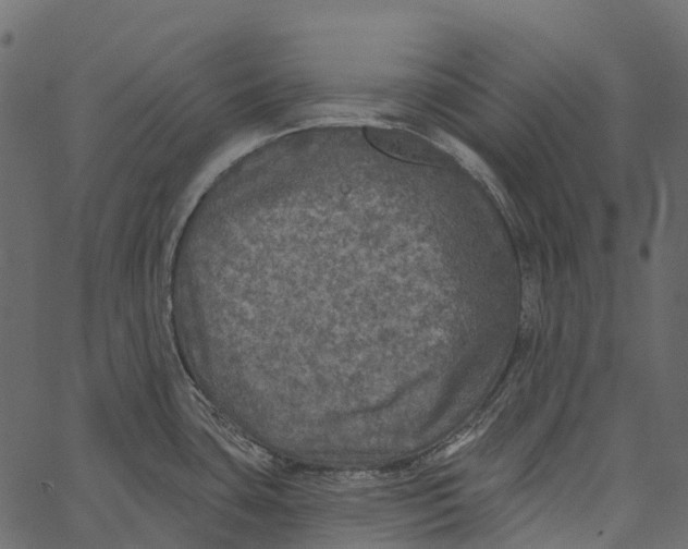 X0000062641435200601111114