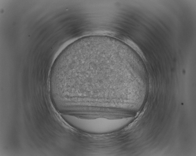 X0000062641436200601111114