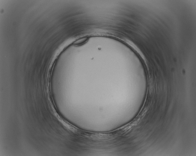 X0000062641437200601111114