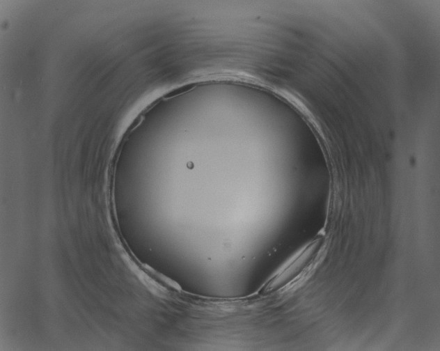 X0000062641438200601111114