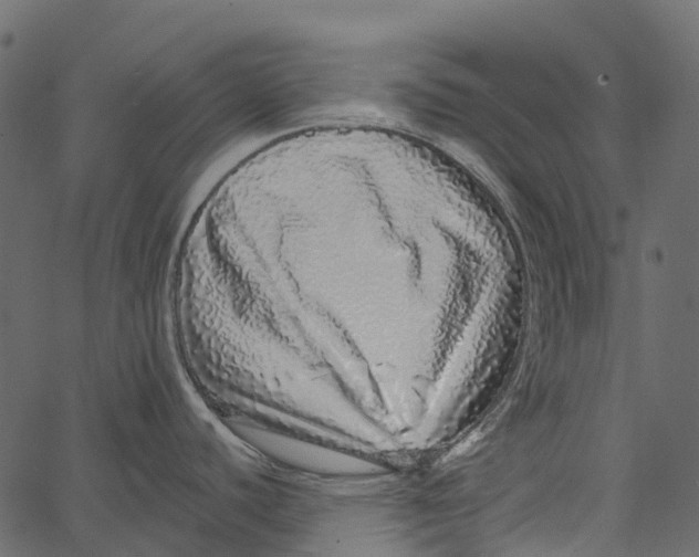 X0000062641440200601111114