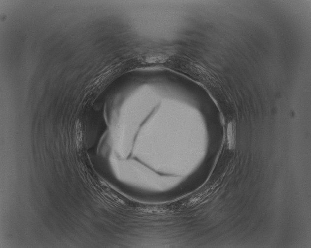 X0000062641443200601111113