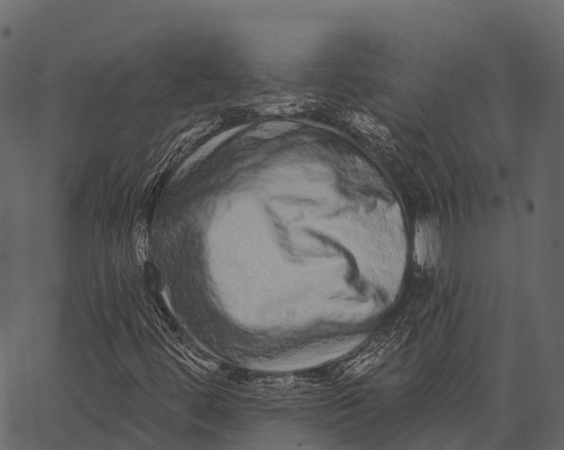 X0000062641444200601111113