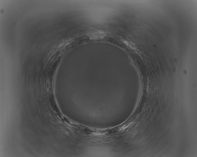 X0000062641445200601111113