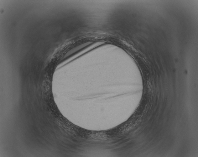 X0000062641447200601111113