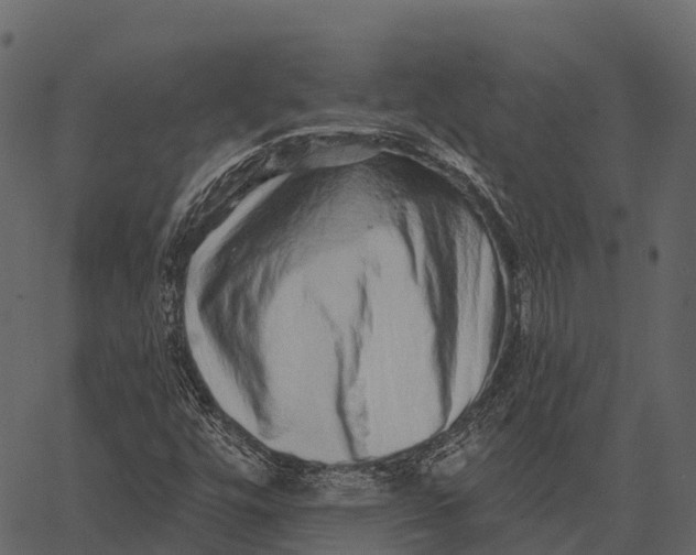 X0000062641448200601111113