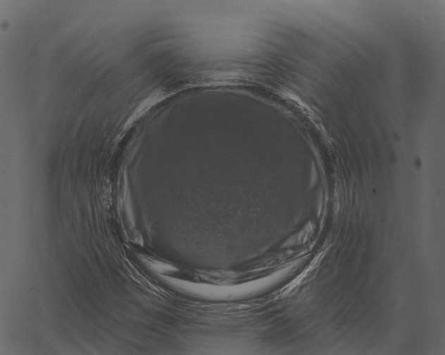 X0000062641449200601111113