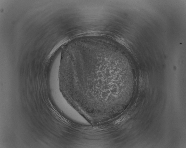 X0000062641450200601111113