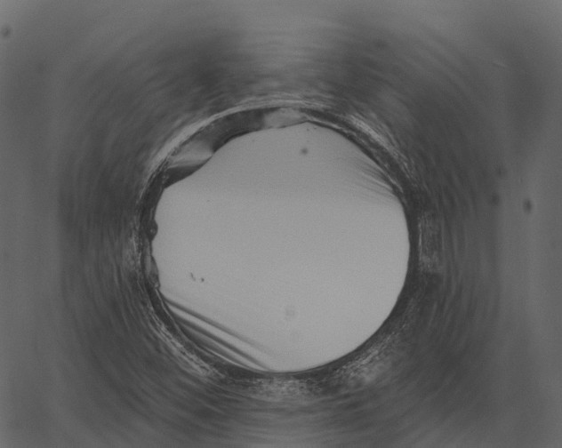 X0000062641452200601111113