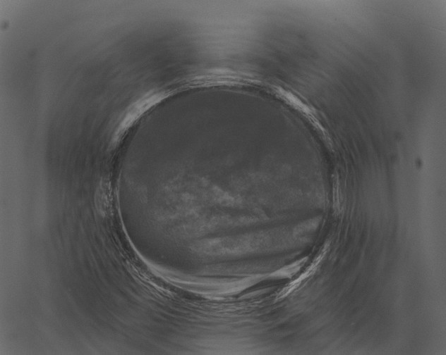 X0000062641453200601111113