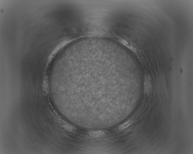 X0000062641454200601111113