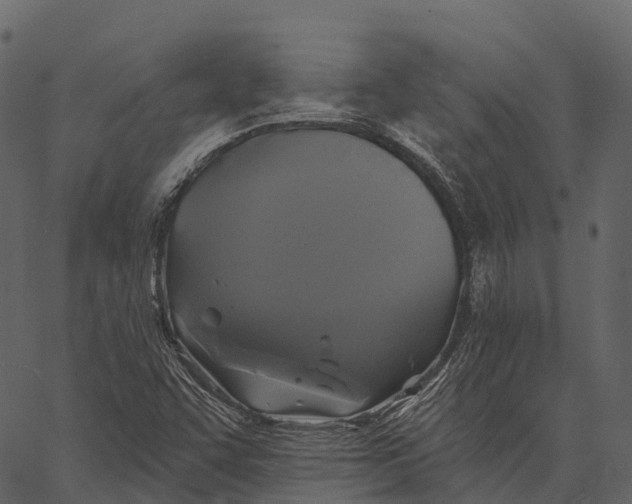 X0000062641455200601111113