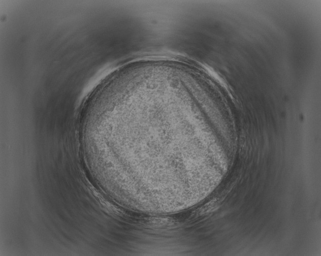 X0000062641456200601111113