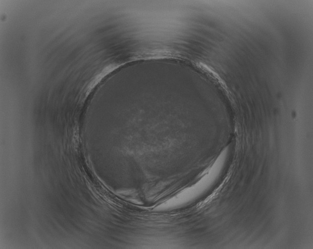 X0000062641457200601111113