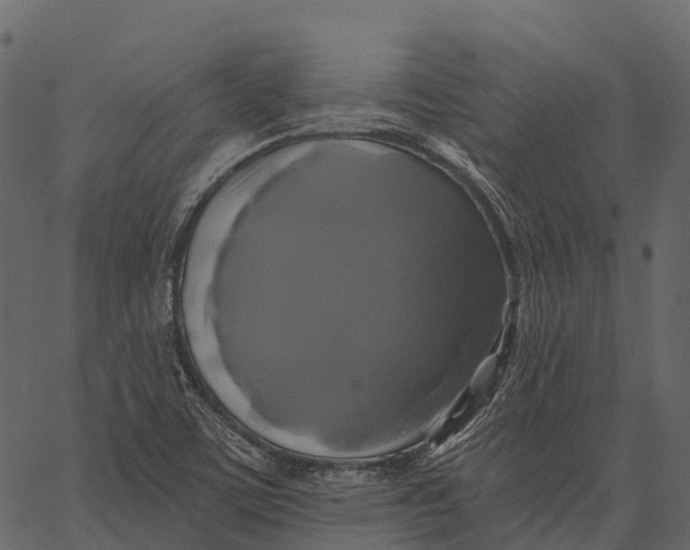 X0000062641459200601111113