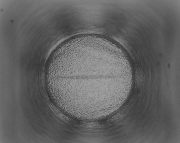 X0000062641460200601111113