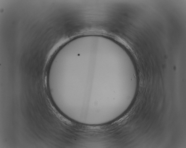 X0000062641462200601111113