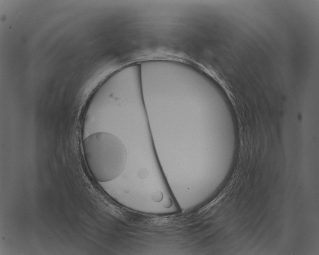 X0000062641463200601111113