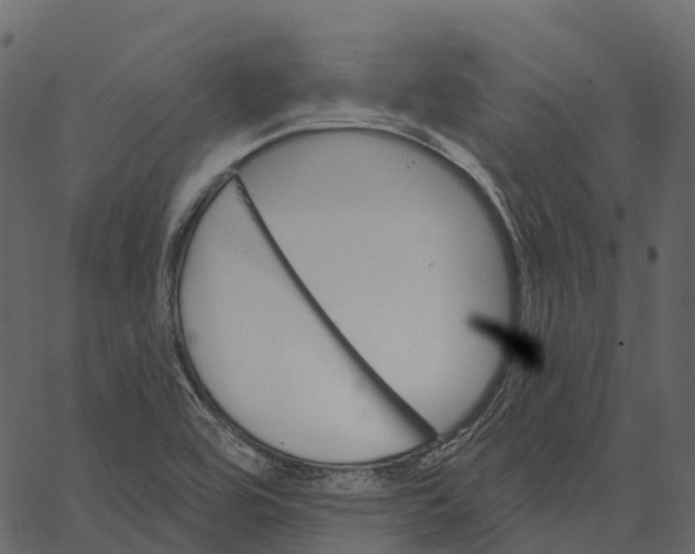 X0000062641464200601111113