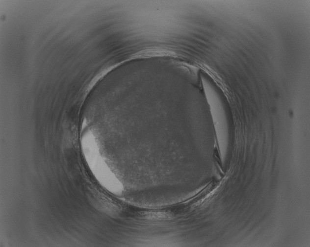 X0000062641465200601111113