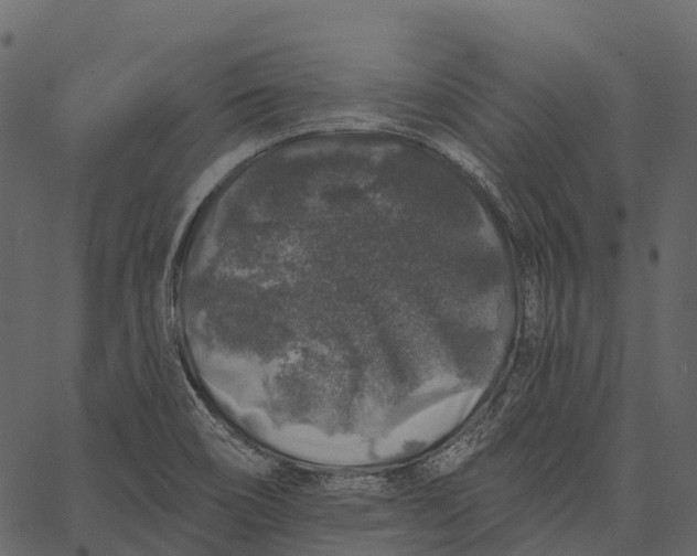 X0000062641466200601111113