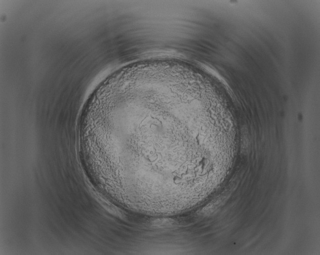 X0000062641467200601111113