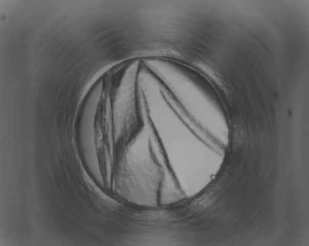 X0000062641468200601111113