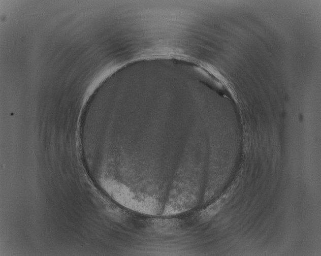 X0000062641469200601111113