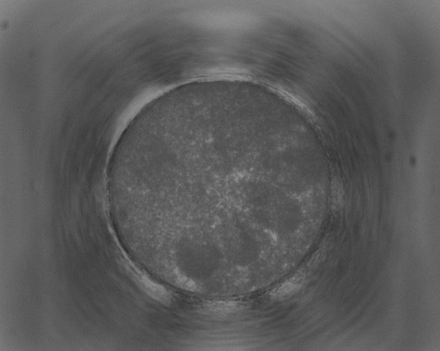 X0000062641470200601111113