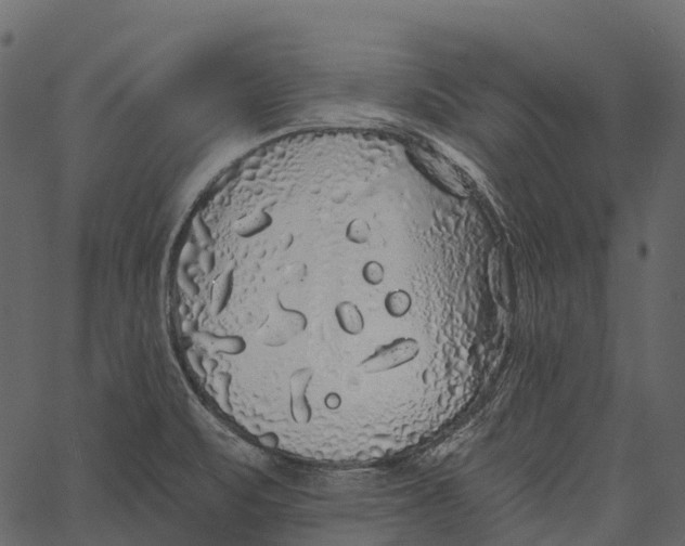 X0000062641471200601111113