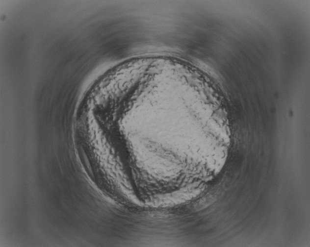 X0000062641472200601111113