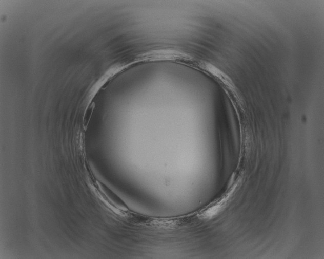 X0000062641473200601111113