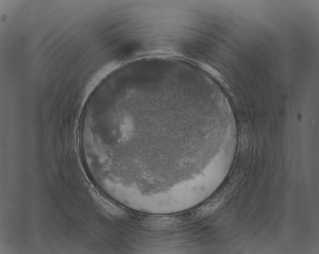 X0000062641474200601111113