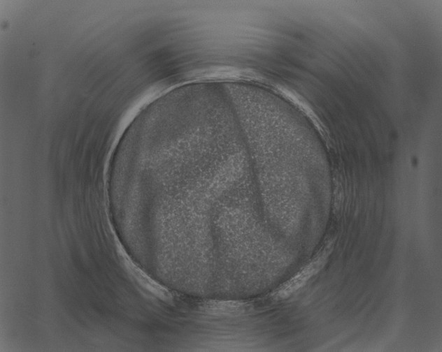 X0000062641475200601111113