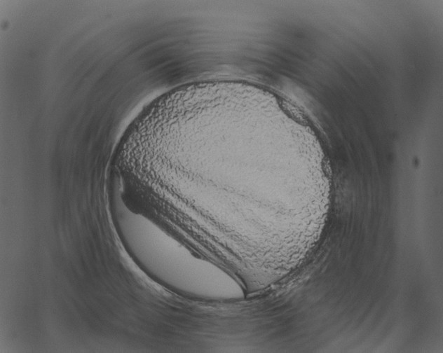 X0000062641476200601111113