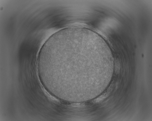 X0000062641478200601111113