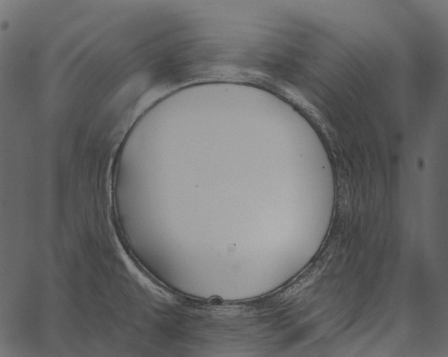 X0000062641479200601111113