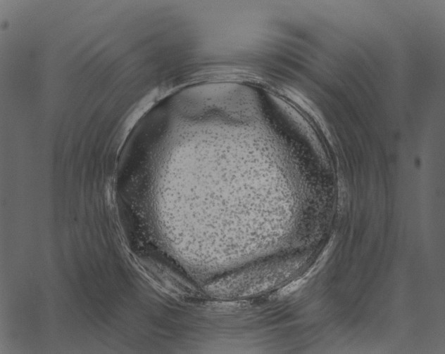 X0000062641481200601111113