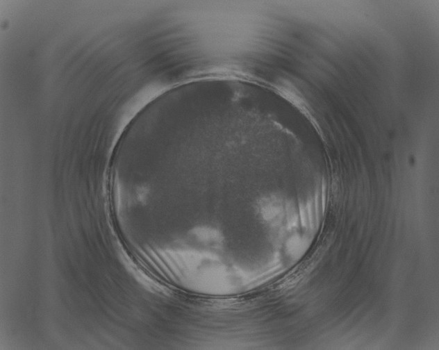 X0000062641482200601111113