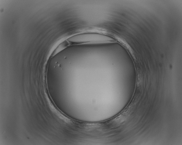 X0000062641483200601111113