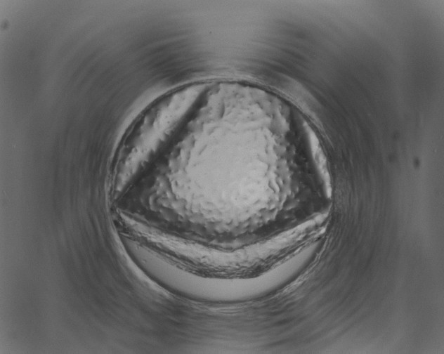 X0000062641484200601111113